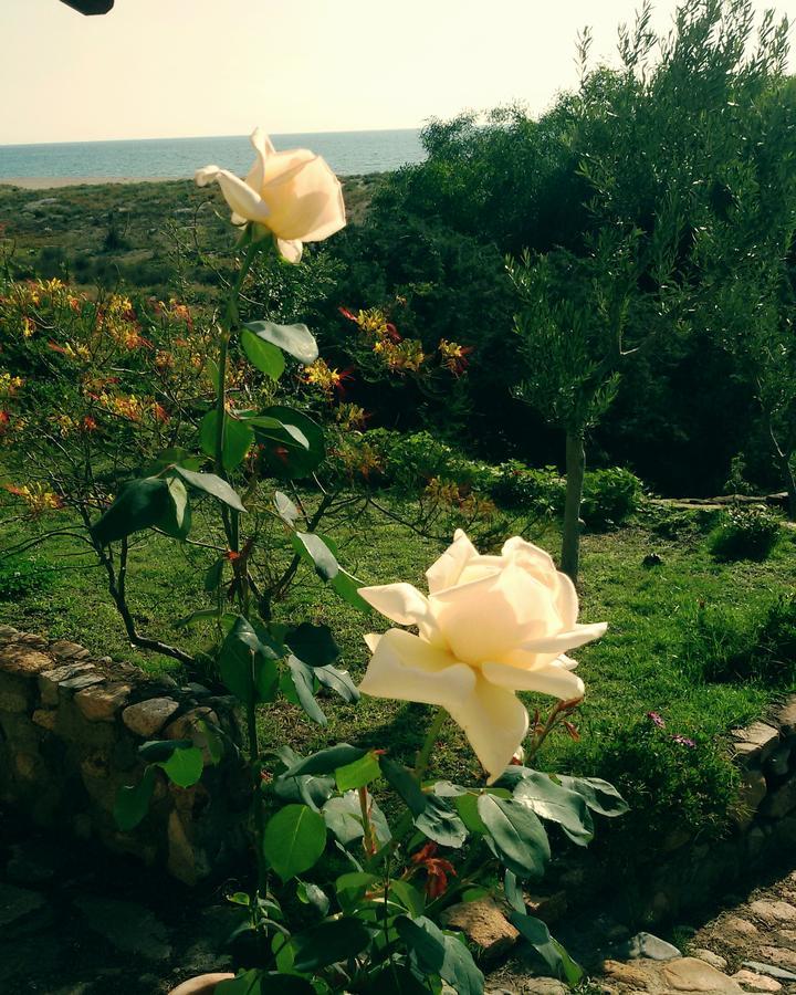 Bed and Breakfast Mirto E Mare Muravera Exteriér fotografie